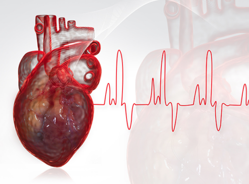 Heart and ECG Electrocardiogram